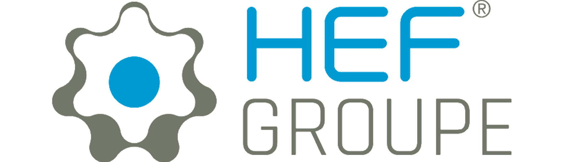Logo HEF groupe