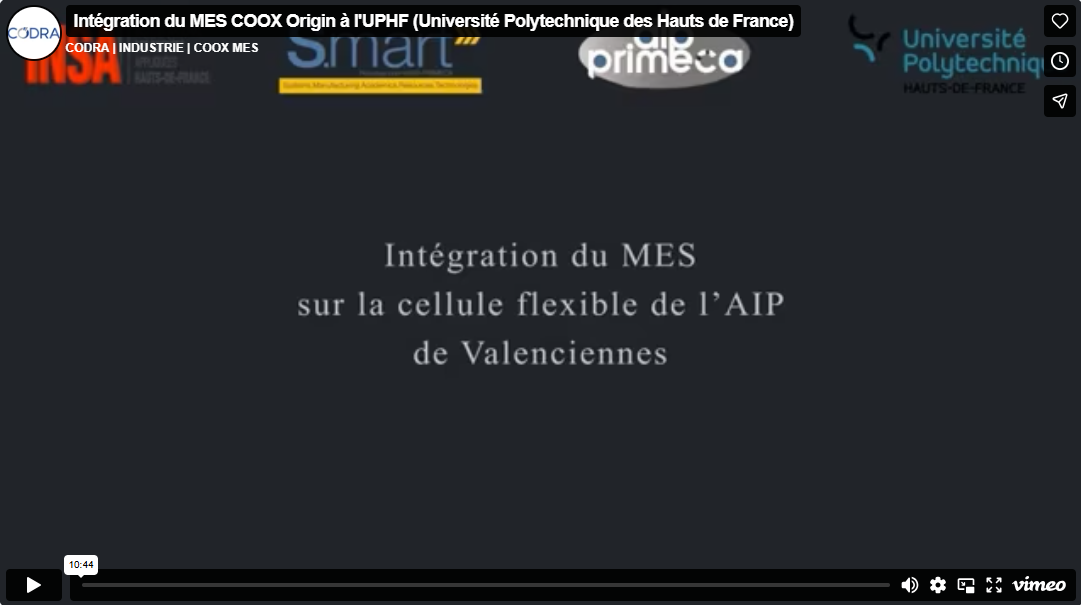 Intégration du MES COOX à l'AIP
